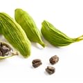 Cardamom