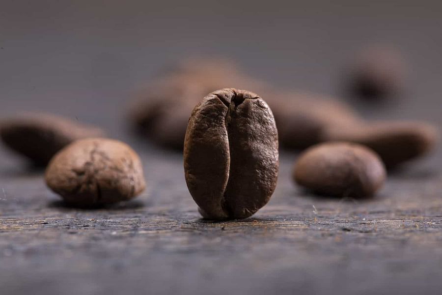 Close-up view of different coffee grind sizes ranging from coarse to fine