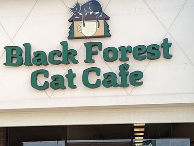 Black Forest Cat Café