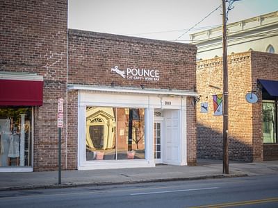 Pounce Cat Cafe + Wine Bar