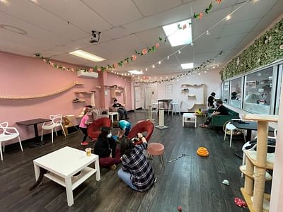 Tally Cat Cafe