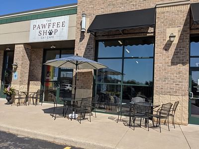 The Pawffee Shop Cat Cafe