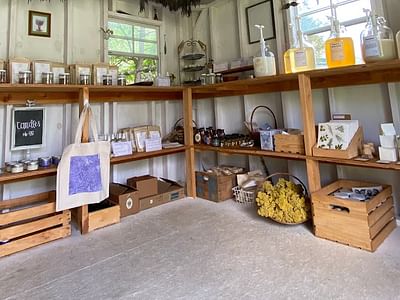 Valle Crucis Lavender House